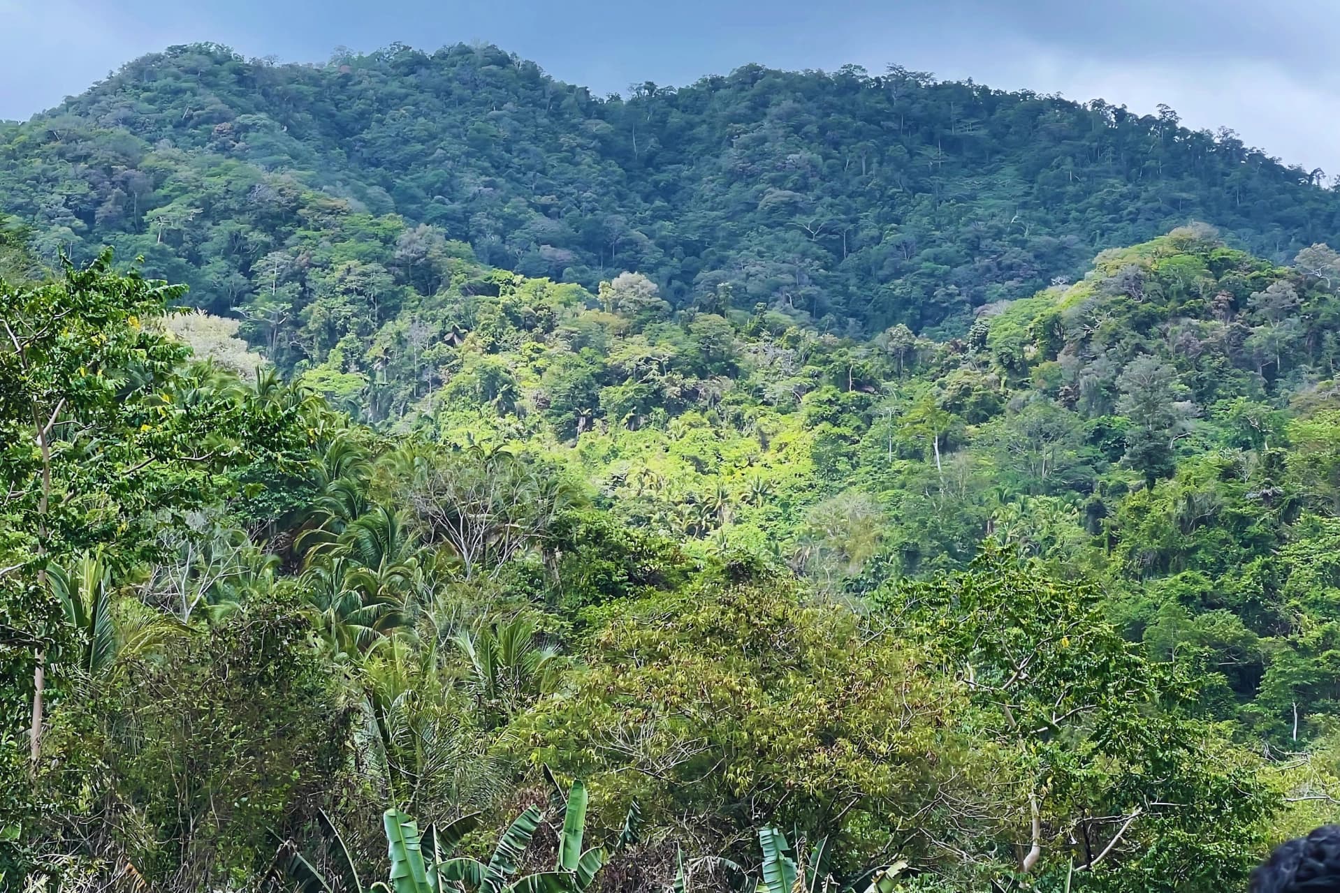 Green mountain landscape